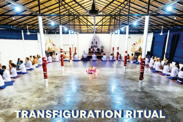 Advanced Transfiguration 